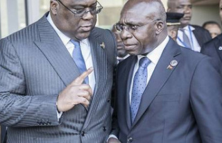 DRC: East African leaders call for "withdrawal...