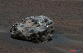 International A smuggled meteorite in Argentina