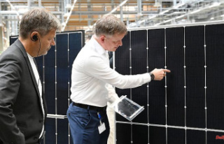 Solar industry is sounding the alarm: The German energy...