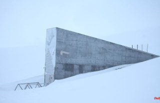 Insurance against extinction: seed vault houses icy...