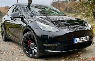 Rightly so successful?: Tesla Model Y Performance...
