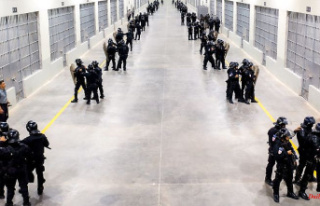 Fight against gang crime: Prison for 40,000 inmates...