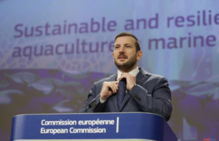 Economy Brussels asks to eliminate trawling in all...