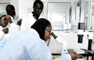 Scientific research: African women don't give...