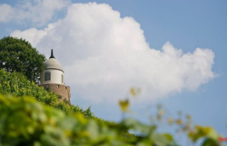 Saxony: Saxony's winegrowers are preparing for...