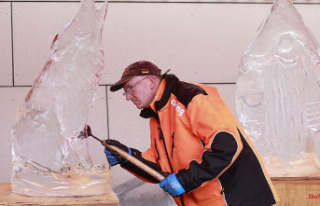 Saxony-Anhalt: Artists make ice sculptures by hand...