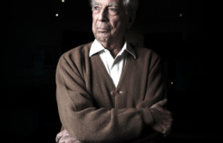 Ideas Mario Vargas Llosa: "Literature is a defense...