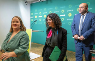 Greens in Berlin and the federal government stable:...