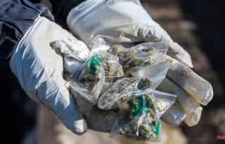Saxony-Anhalt: Police find three kilograms of cannabis:...