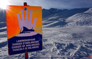 Buried by avalanches: five winter sports enthusiasts...