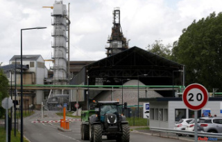 Sugar producer Tereos announces the closure of two...