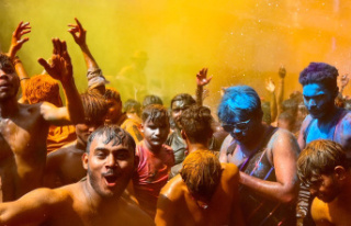 Parties What does Holi mean and what is celebrated...