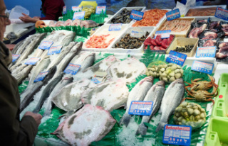 Economy The fishing sector blames the Government for...