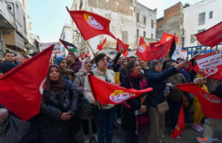 In Tunisia, thousands of people demonstrate against...