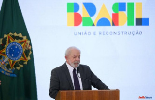 Brazil to reserve 30% of senior civil service positions...