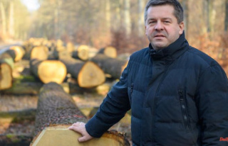 Saxony-Anhalt: Greens: Minister keeps forest fire...