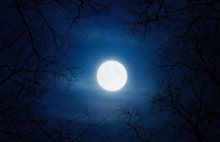 Astronomy Full Moon March 2023: when is the Worm Moon