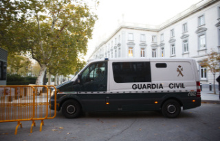 Investigation Blow to the first network in Spain of...