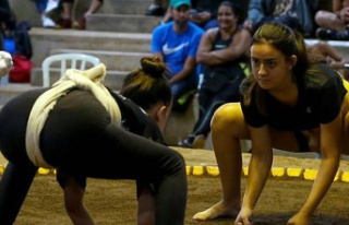 Brazil: prejudice in women's sumo, the other...