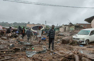 Cyclone Freddy: more than 200 dead in Malawi and Mozambique