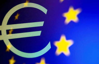 Despite the risks, the ECB opts for a rate hike