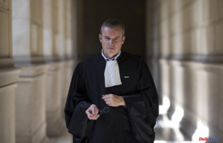 Lawyer Emmanuel Pierrat sentenced for harassment at...