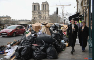 Garbage collectors' strike: in Paris, 10,000...