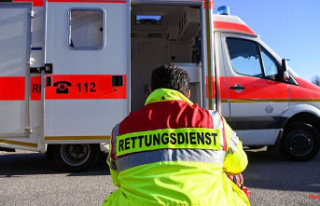 Bavaria: fatal accident: truck crashes into tree
