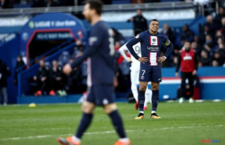 Ligue 1: PSG fall at home against Rennes