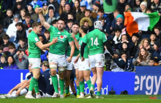 Six Nations Tournament: Ireland take down Scotland...