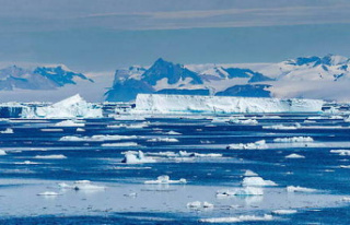 Climate: Antarctic sea ice hits record melt, confirms...