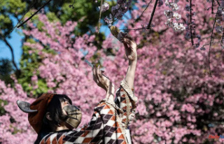 International New record: cherry blossoms in Tokyo...