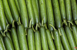 Edeka explains usurious price: cucumber for 3.29 euros...