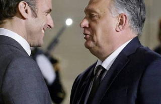 Macron received Orban for dinner to discuss the rule...