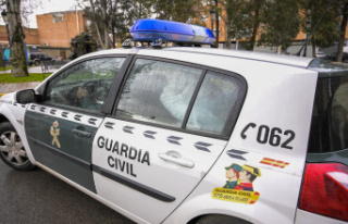 Murcia Arrested the alleged perpetrator of several...