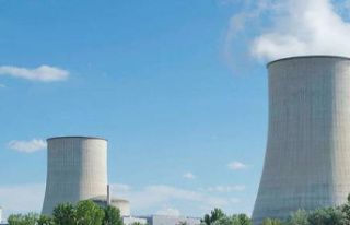 The Assembly adopts the revival of nuclear power,...