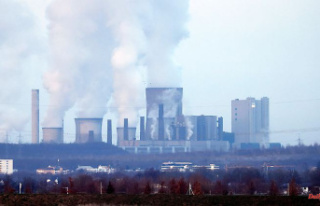 CO2 emissions reach record levels: International Energy...