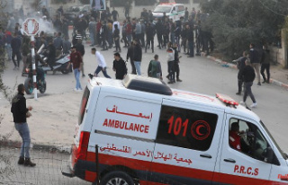 85 fatalities since the beginning of the year: Israel's...