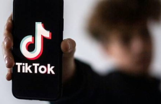 Senate: the commission of inquiry on TikTok launches...