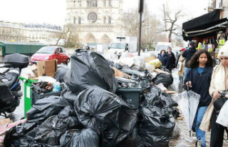 Garbage collectors' strike: the government accuses...