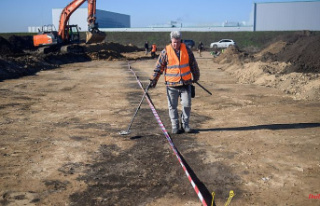 Saxony-Anhalt: Mysterious pit lines discovered near...