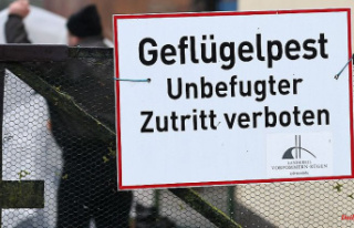 Baden-Württemberg: Bird flu also detected in the...