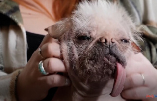 International Peggy, named the ugliest dog in the...