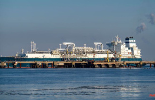 "Overshoots the target": Too many LNG terminals...