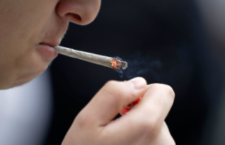 Spain A third of young people would smoke more cannabis...