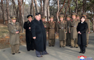 Asia Pyongyang says it fired its missile with the...