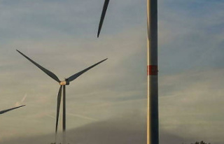 Two-tone wind turbines coming soon?