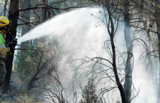 Spain: multiple forest fires 'under control'