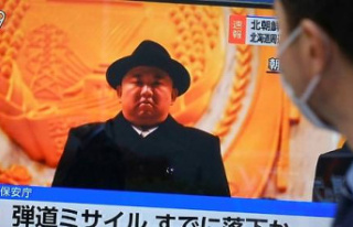 Pyongyang fires 'new type' of ballistic...