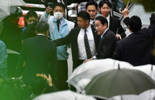 Japan: Prime Minister resumes campaign after explosion